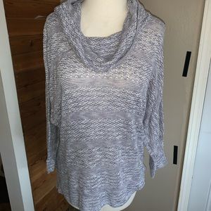 Db established 1962 sweater size L